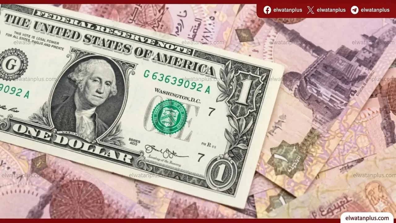 حالة من الاستقرار تسيطر على سعر الدولار في البنوك المصرية اليوم